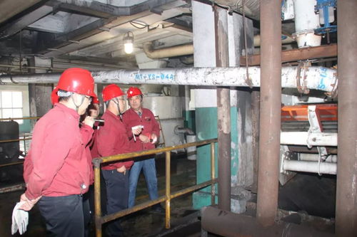 馬頭洗選廠提前完成全年生產任務，技術推廣助力高效發(fā)展