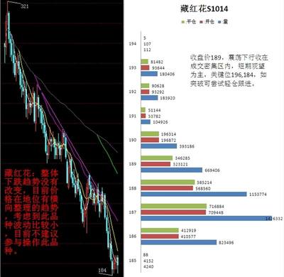 渤海華創(chuàng)(天津)商品貿(mào)易經(jīng)紀(jì)10月15日白盤(pán)行情評(píng)述 - 天津匯港農(nóng)產(chǎn)品交易市場(chǎng) 貿(mào)易經(jīng)紀(jì)